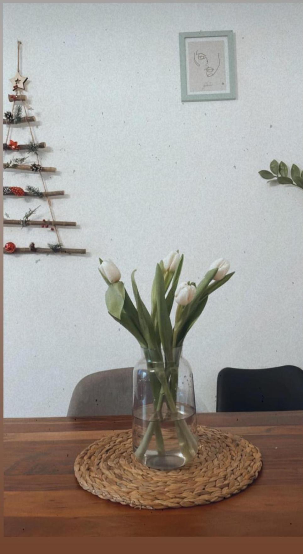 Apartma Ella Koper Bagian luar foto